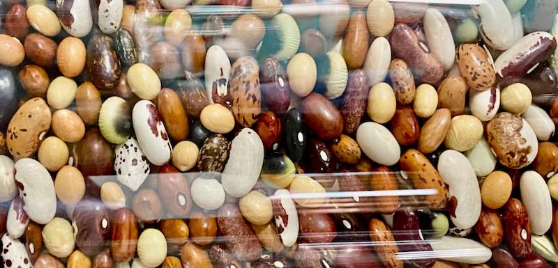 Seed vault storage