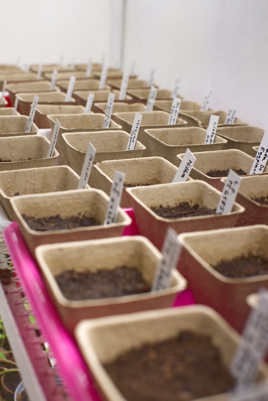 Seed laboratory testing