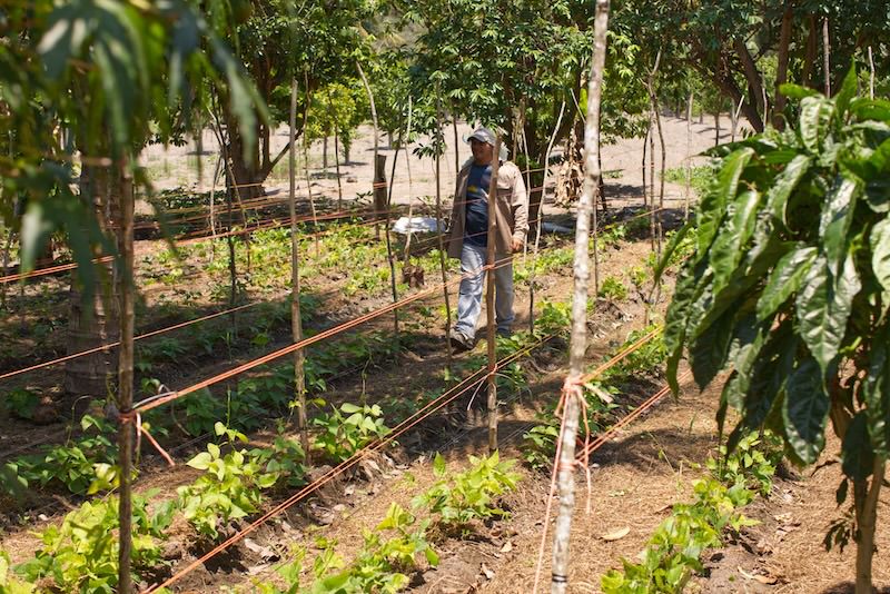 Our Mexico production farms