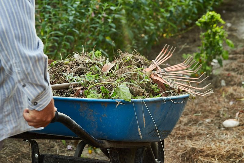 Sustainable growing practices