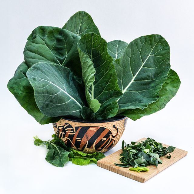 Illustration representing Sahara Kale