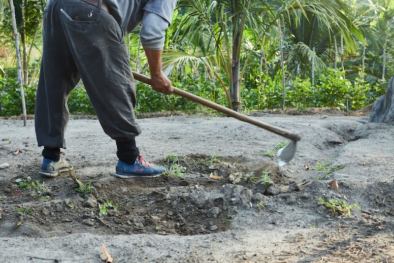 Working with traditional farming communities